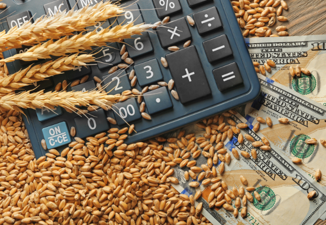 immagine di grano su calcolatrice e banconote