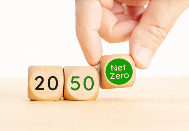 immagine di cubetti di legno con la scritta in verde "2050 zero netto"