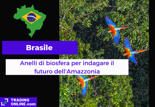 immagine di presentazione della notizia sul nuovo progetto brasiliano per indagare gli effetti del cambiamento climatico sulla Foresta Amazzonica