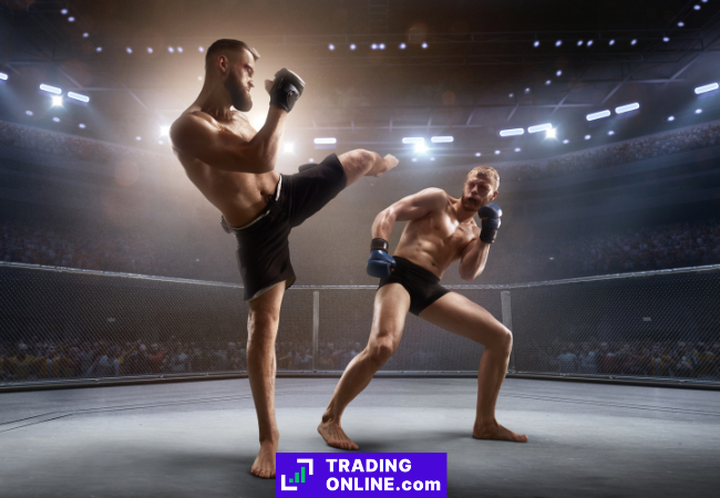 foto di due combattenti su un ring di MMA