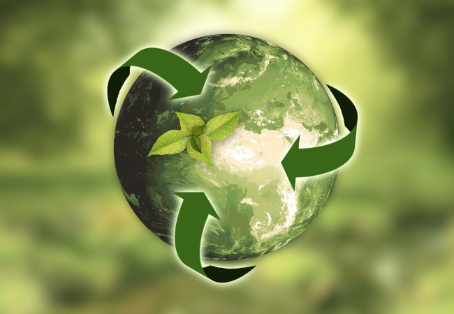 immagine di globo in verde come simbolo di sostenibilità ambientale