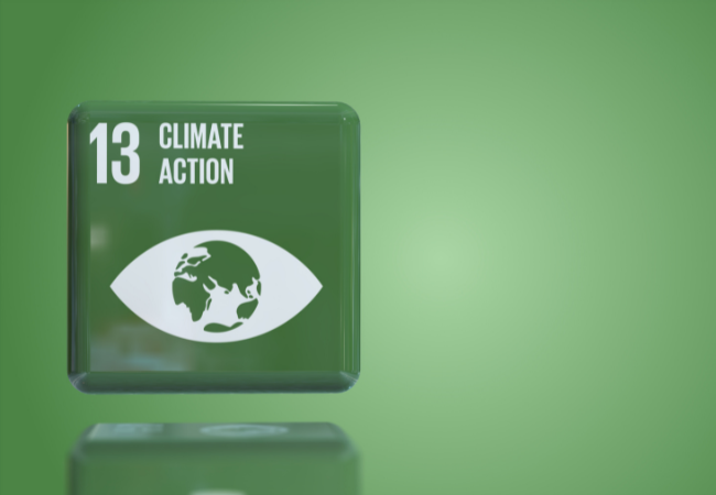 immagine di cubo tridimensionale son tredicesimo obiettivo dell'agenda 2030 dell'ONU "azione climatica"