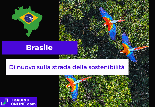 immagine di presentazione della notizia sulle nuove misure del Brasile per combattere la deforestazione