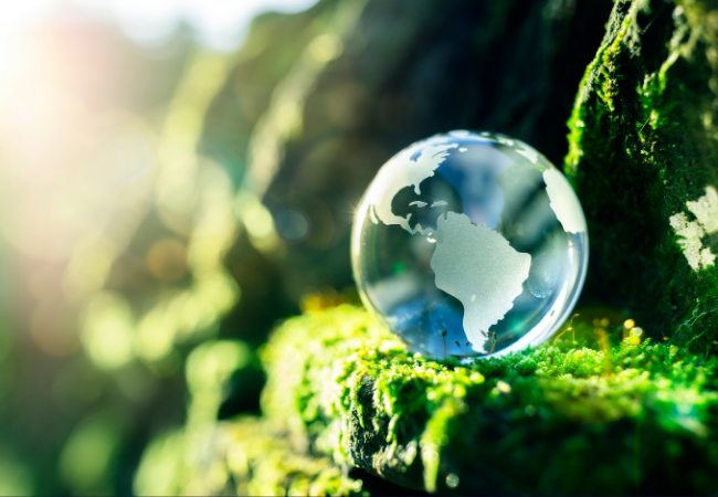 immagine di globo terrestre di cristallo su sfondo roccioso ricoperto di piante