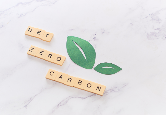immagine di cubetti di legno con lettere che formano la scritta "carbonio netto zero" con foglie verdi in carta