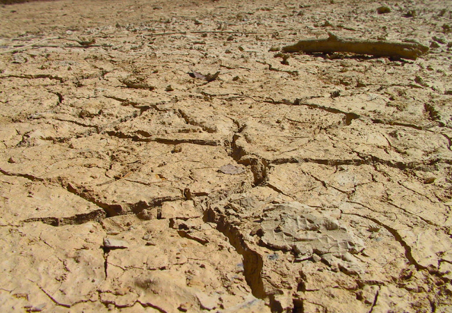 Immagine di un terreno arido.