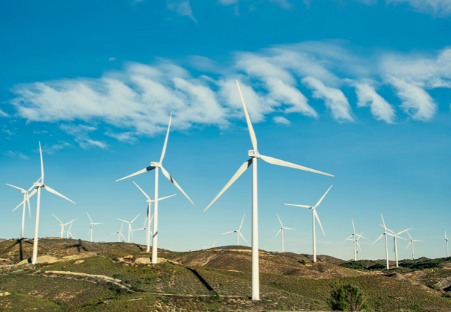Immagine di alcune pale per la generazione di energia eolica.