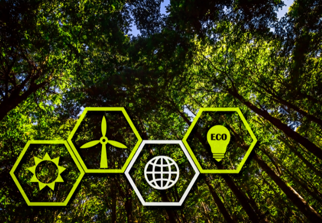 
Quattro icone di sostenibilità a forma esagonale di fronte a una foresta verde