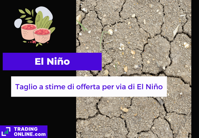 presentazione della notizia su calo delle stime di produzione di caffè per via di El Niño