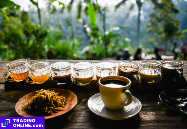 foto di una tazza di caffè in una coltivazione in Indonesia
