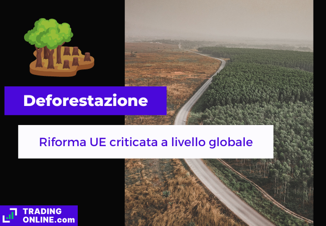 presentazione della notizia sulle critiche alle leggi anti-deforestazione europee
