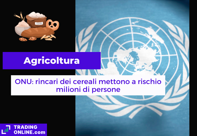 presentazione della notizia su dibattito su rincari dei cereali presso le Nazioni Unite