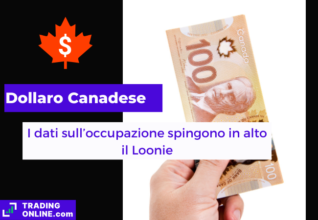 Immagine di copertina, "Dollaro Canadese, I dati sull'occupazione spingono in alto il Loonie", sfondo di una banconote da 100 dollari canadesi.