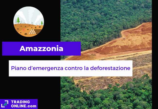presentazione della notizia sul piano d'emergenza contro la deforestazione in Amazzonia