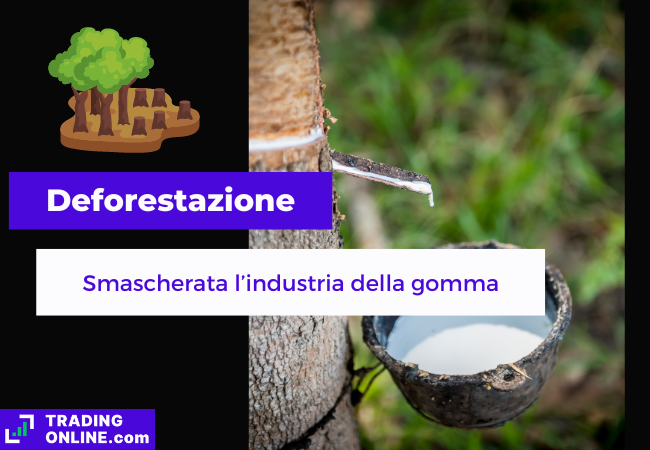 presentazione della notizia sul nuovo studio sulla deforestazione legata alla produzione di gomma
