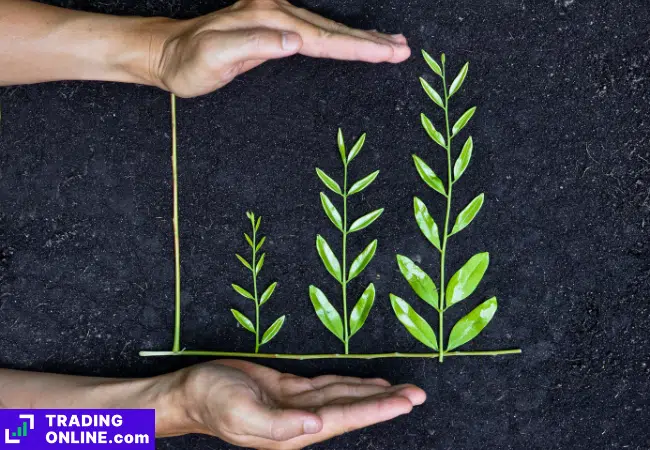 foto che rappresenta la finanza green attraverso un grafico fatto di piante