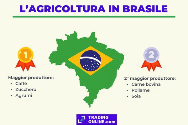 infografica sul ruolo del Brasile all'interno dell'agricoltura globale