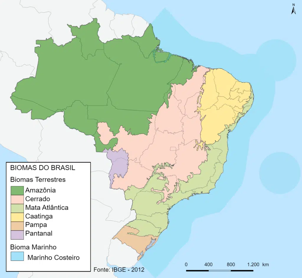 mappa delle foreste in Brasile