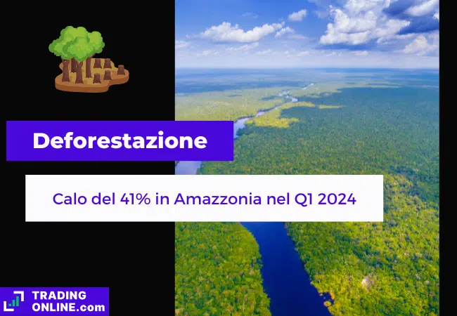 presentazione della notizia su calo deforestazione nella foresta amazzonica