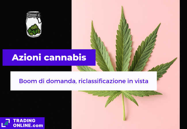 presentazione della notizia su boom della domanda di cannabis negli USA