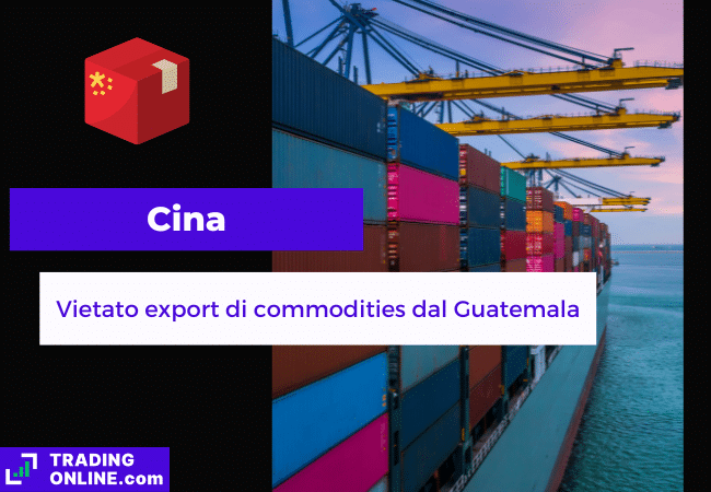 presentazione della notizia su Cina che vieta import dal Guatemala