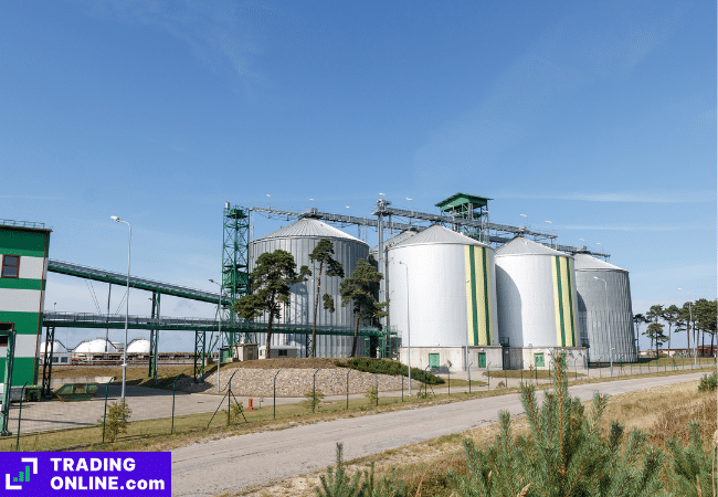 foto di un impianto per la produzione di biocombustibili