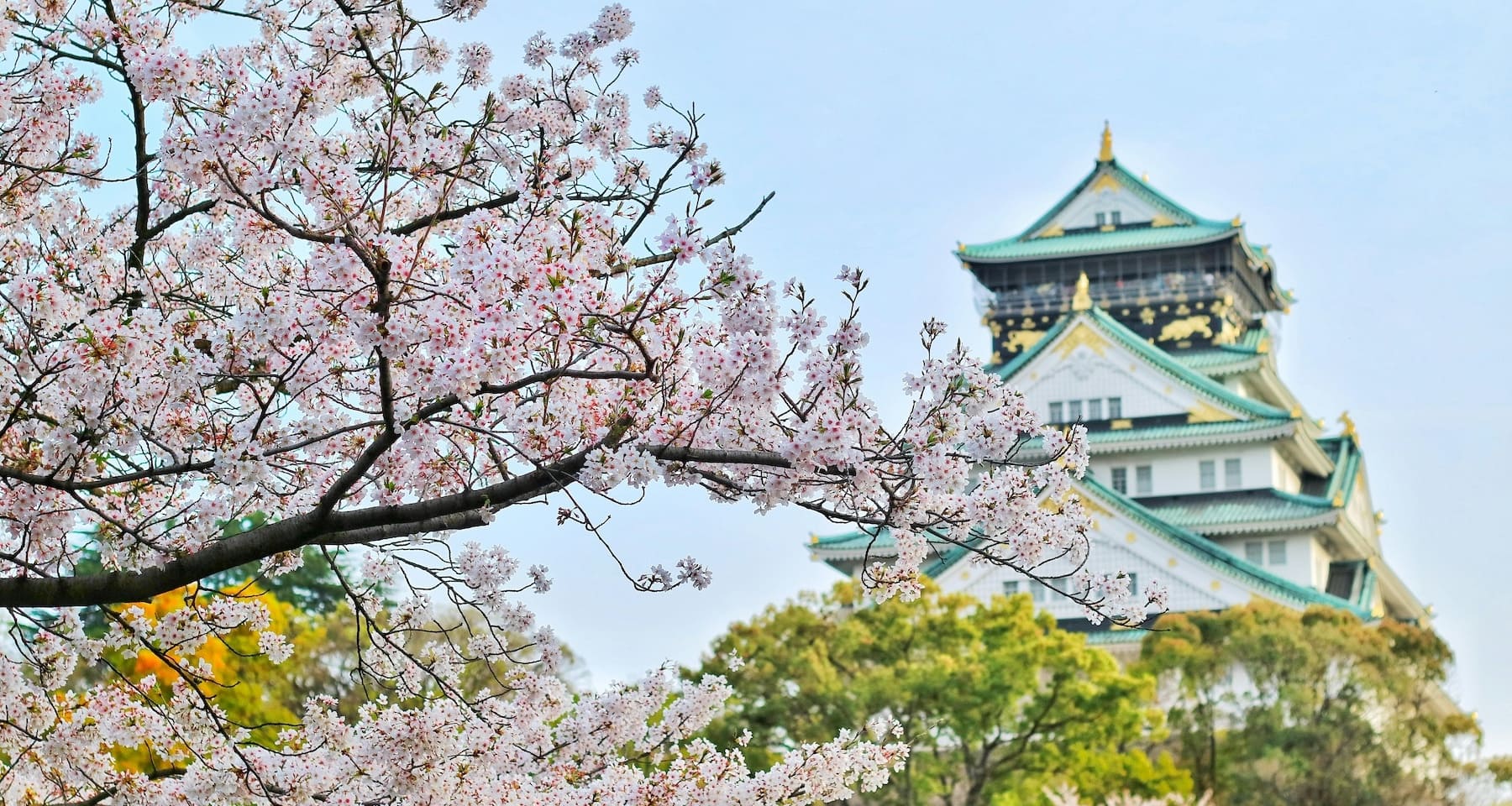 La BoJ potrebbe aumentare ulteriormente i tassi. Parola di Nakagawa