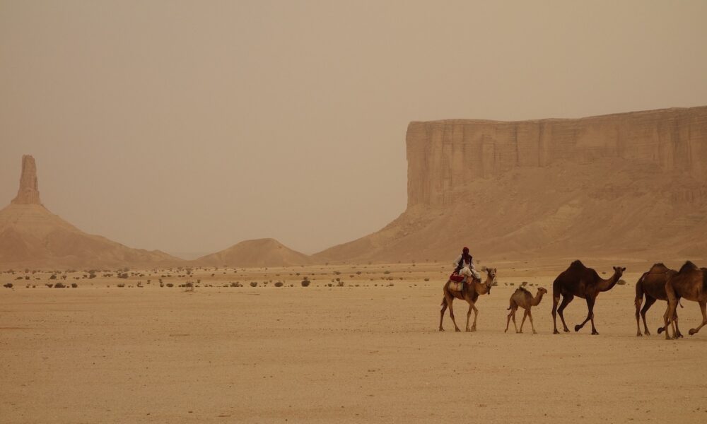 Carrefour apre un'indagine sulle condizioni dei dipendenti in Arabia Saudita