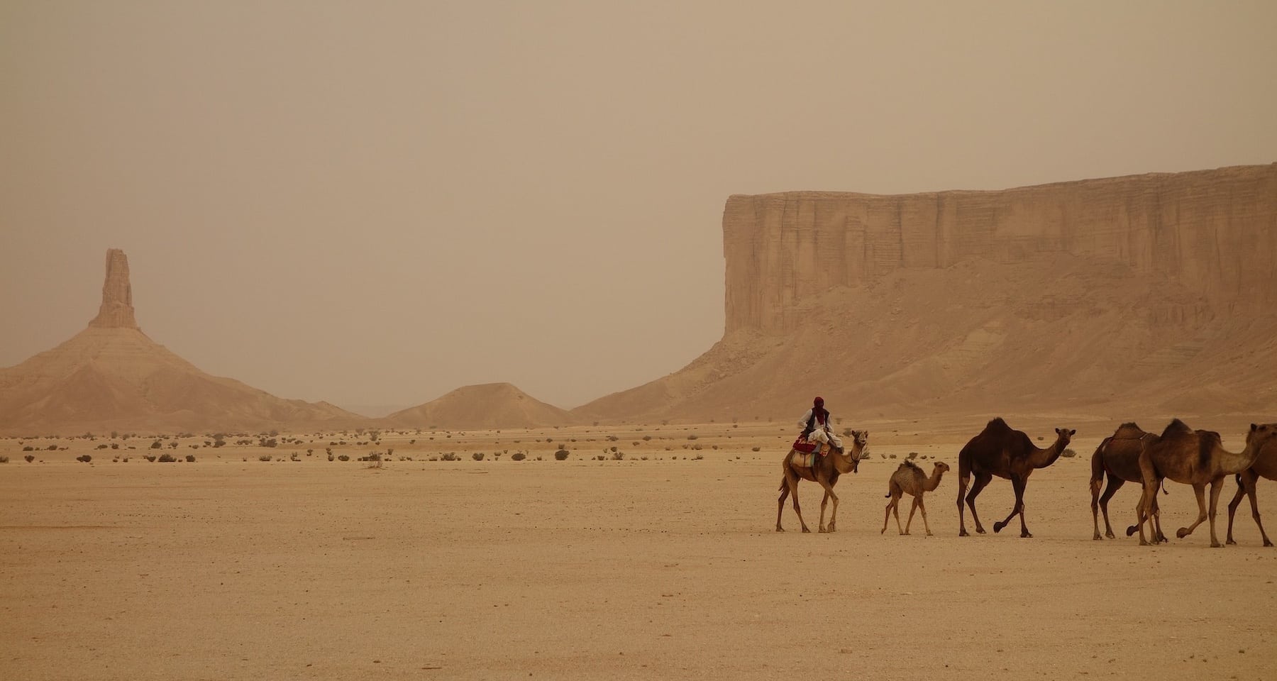 Carrefour apre un'indagine sulle condizioni dei dipendenti in Arabia Saudita