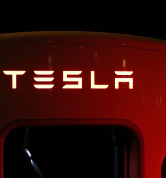 Il mercato delle auto elettriche in Cina cresce del 19,2%: Tesla ne approfitta e presenta il suo robotaxi