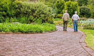 Pensione di vecchiaia, chi ci può accedere nel 2025 e con quali regole