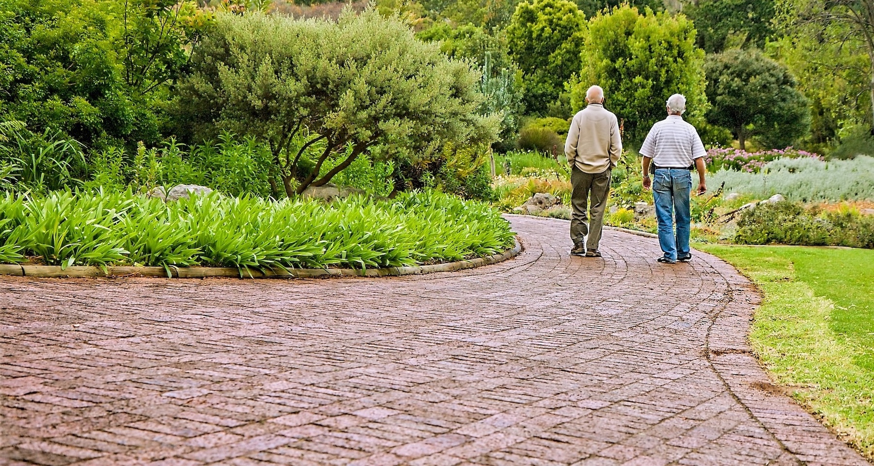 Pensione di vecchiaia, chi ci può accedere nel 2025 e con quali regole