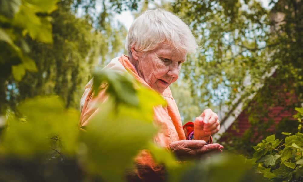 Pensioni 2025, addio alla rivalutazione. Questa volta non ci sarà