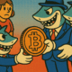 SQUALI BITCOIN